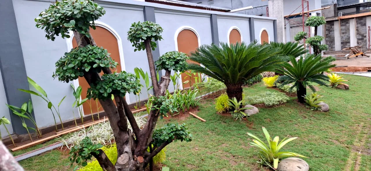 Home Taman tropis halaman rumah dengan tanaman yang tertata